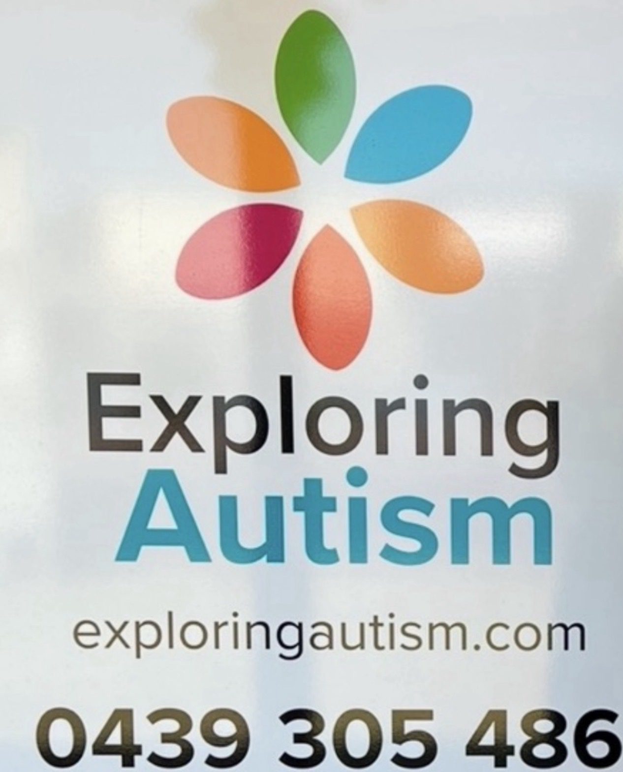 Exploring Autism